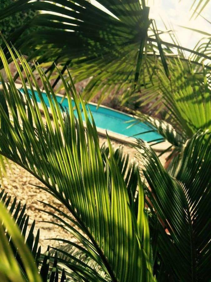 Apartmanovy Dom Red Hotell Podhájska Eksteriør bilde